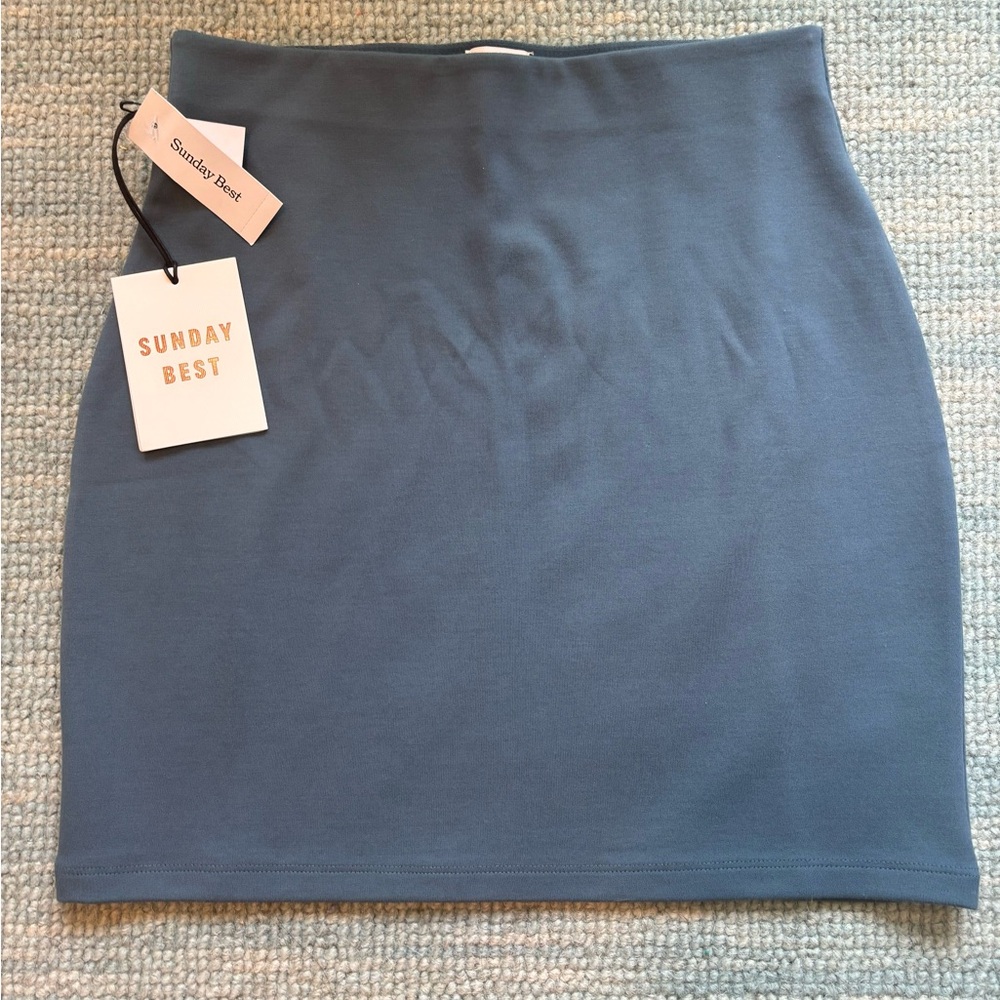 Aritzia Blue Pencil Mini Skirt for Casual Wear
